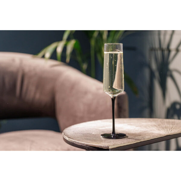 Klaasid 250ml 4tk 'palermo champagne flutes' Mikasa