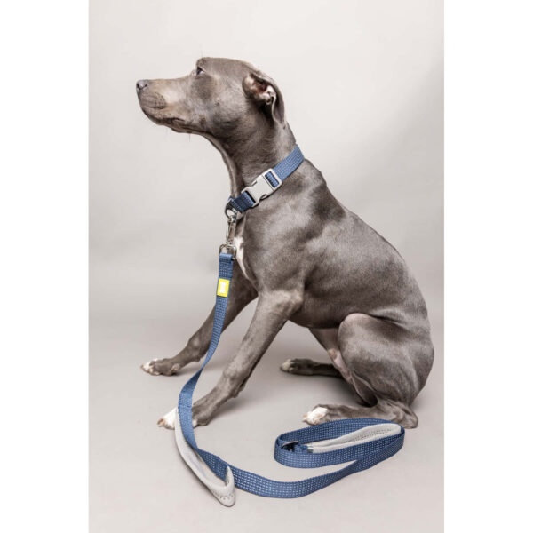 BUILT Pet NightSafe Double Handled Dog Lead Large Blue