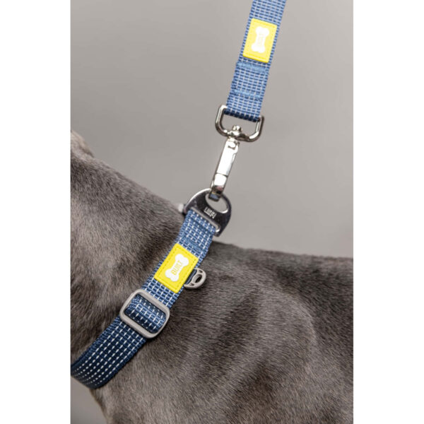 Koera jalutusrihm 1.83m L sinine topelt käepide 30cm pöörlev kinnitus NightSafe Built Pet
