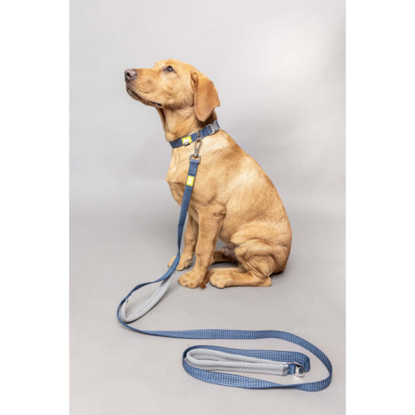 BUILT Pet NightSafe Double Handled Dog Lead Medium Blue