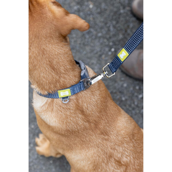 Koera jalutusrihm 1.83m M sinine topelt käepide 30cm pöörlev kinnitus NightSafe Built Pet