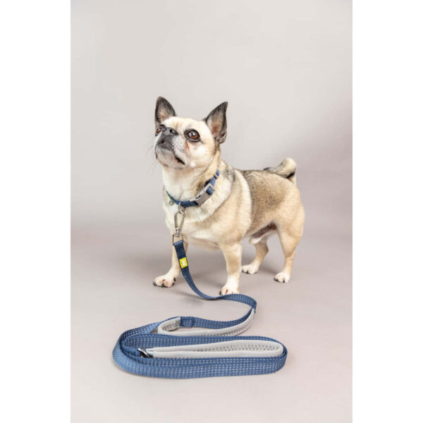 BUILT Pet NightSafe Double Handled Dog Lead Small Blue