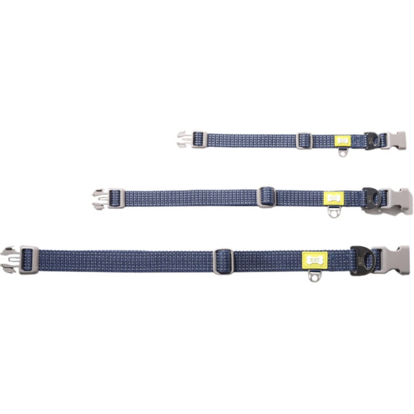 Koera kaelarihm M 35-51cm sinine NightSafe Built Pet
