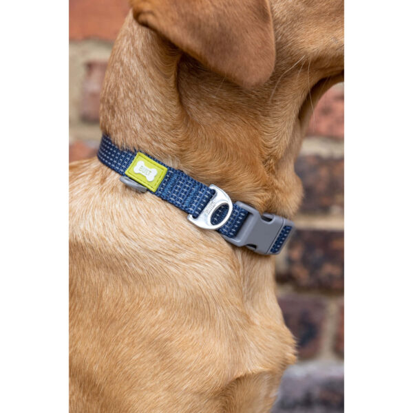 BUILT Pet NightSafe Dog Collar Medium Blue