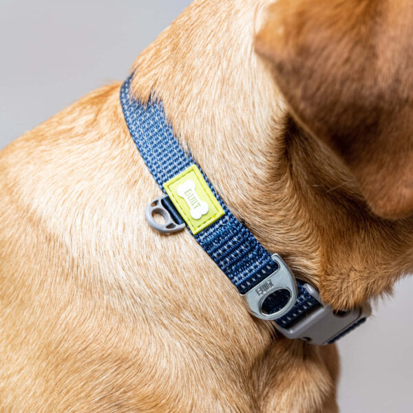 BUILT Pet NightSafe Dog Collar Medium Blue