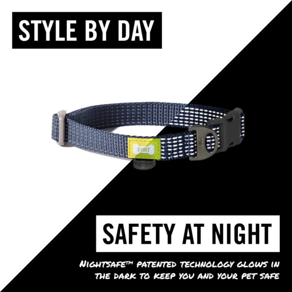 Koera kaelarihm M 35-51cm sinine NightSafe Built Pet