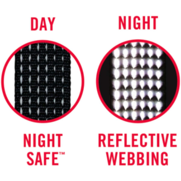 Koera kaelarihm M 35-51cm sinine NightSafe Built Pet