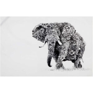 Köögirätik 50x70cm 'african elephant' Marini Ferlazzo Maxwell & Williams