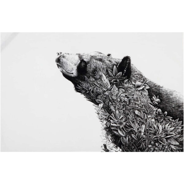 Köögirätik 50x70cm 'black bear' Marini Ferlazzo Maxwell & Williams