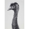 Maxwell & Williams Marini Ferlazzo Tea Towel Emu 50x70cm