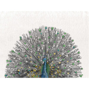 Köögirätik 50x70cm 'peacock colour' Marini Ferlazzo Maxwell & Williams