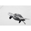 Maxwell & Williams Marini Ferlazzo Tea Towel Sea Turtle 50x70cm