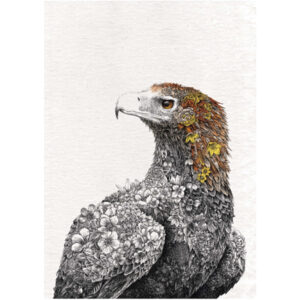 Köögirätik 50x70cm 'wedgetail eagle colour' Marini Ferlazzo Maxwell & Williams