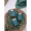 Säilituspurgid teras 3tk 'teal' KitchenCraft