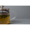 La Cafetière Kericho Glass Infuser Teapot Two Cup